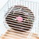 A cage for rodents "Pigger", a three -story with a filling of 31 x 24 x 40 cm, brown