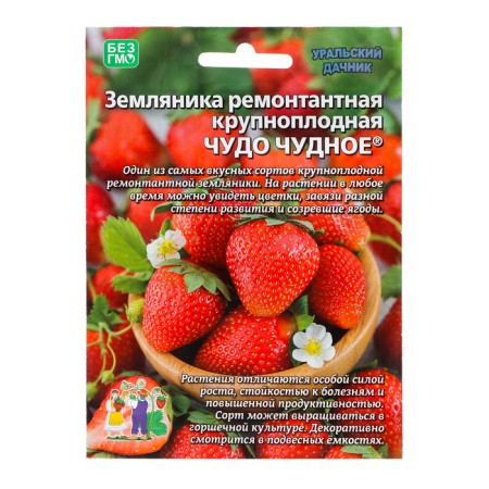 Strawberries "miraculous" 10 pcs