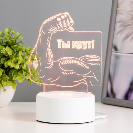 Lamp "You Cool" Led RGB from the network 12.8x9.5x14.5 cm Risalux-3
