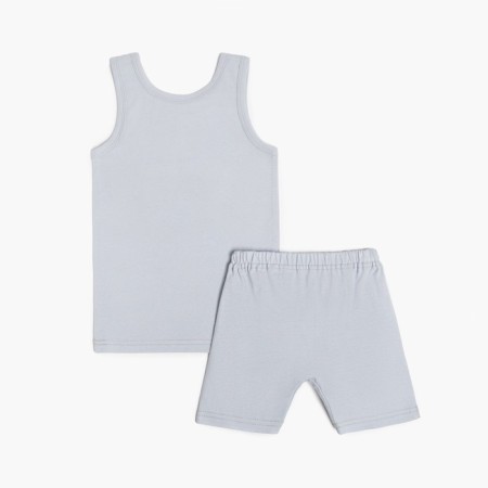 Set for a boy (T -shirt, panties), gray color/yohoho, height 98 cm-2