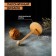 Holder for kitchen paper towels, 13 × 25 cm, beech, color and pattern mix