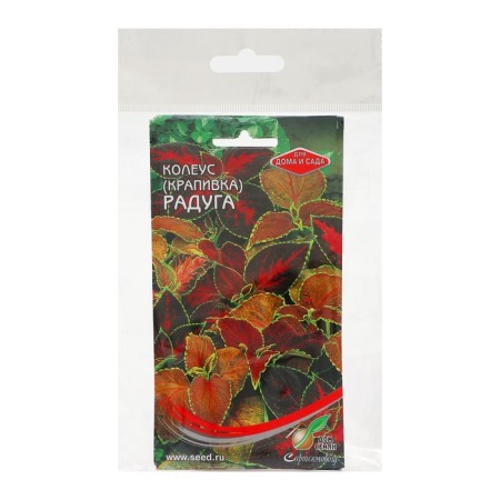 Seed of indoor flowers Koleus "Bluma Rainbow", set 5 pcs-5