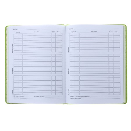 Universal diary for grades 1-11, 48 Velvet sheets, hard cover, artificial leather, thermoting, liesse, block 70 g/m2, light green-1