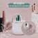 Organizer for storage "Cactus", with a lid, D - 7 × 11 cm, white/transparent color