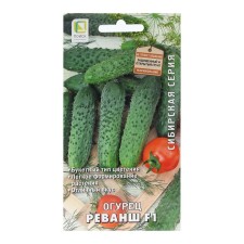 Seeds of cucumber 