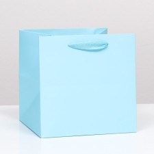 Package for a 20x20x20cm cake Blue, 1pc