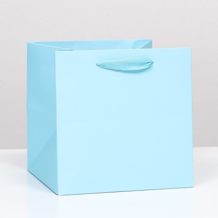 Package for a 20x20x20cm cake Blue, 1pc