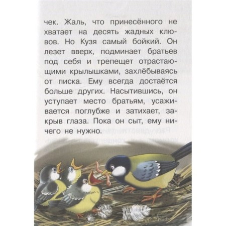 Forest Tales, Nikonov N. G.-3