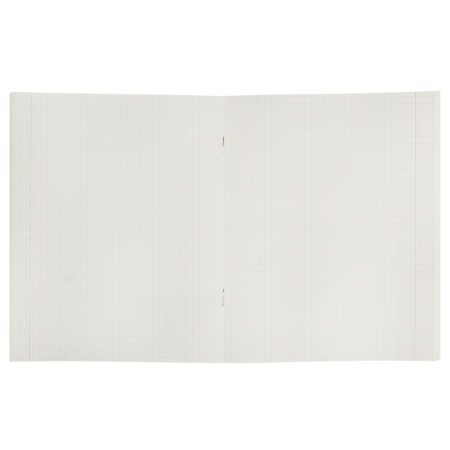 Notebook of 48 sheets in Calligrata Metal cage, covered cardboard, block No. 2, whiteness 75% (gray sheets), mix-1