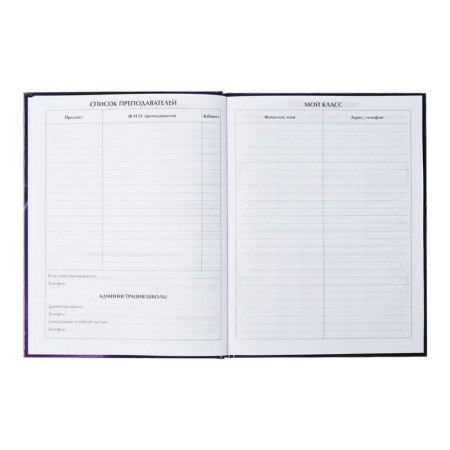 Universal diary for grades 1-11, "kitten", solid cover 7BC, glossy lamination, 40 sheets-7