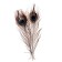A set of peacock feathers for decor 2 pcs.