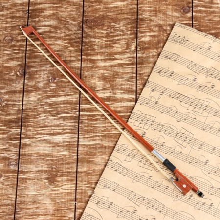 Music Life 1/8, 52 cm violin