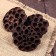 Sukhotza “Lotus” D-8-11 cm, brown