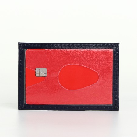 Cartholder, blue color-3