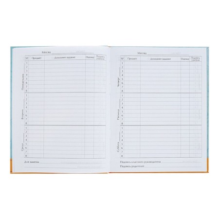 Diary for grades 5-11 "Back to school. Coat of arms", solid cover, glossy lamination, 48 sheets-6