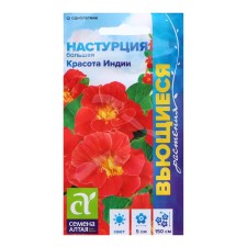 Semen Nasturtium 