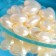 Hair oil with rose in capsules, 60 pcs