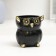 Figure Kashpo "Council" 0.35l, black with gold, 10x11x10cm