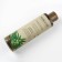 The shampoo strengthens Ecolatier Green "Texturing for hair volume", 250 ml