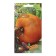 Seeds Tomat "Colosseum F1", 10 pcs