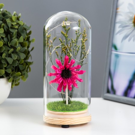 Night -night flask "Flower" LED from batteries LR44 mix 8x8x19 cm Risalux-1
