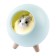 Children's nightlight-lamp NLED-468-1W-GR hamster Green