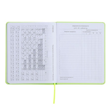 Universal diary for grade 1-11 Capybara, hard cover, artificial leather, silkography, lies, 80 g/m2-10