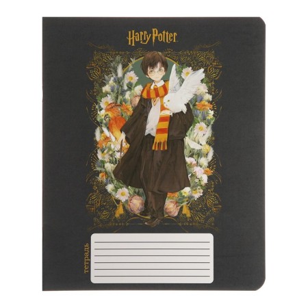 Notebook of 12 sheets in the Harry Potter cage, covered cardboard, OFSET block 65, 5 species mix-6