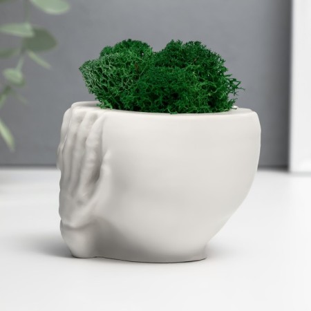 Kashpo concrete "Skull Silence" with moss 6.5x10 cm white (moss green stabilized)-3
