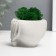 Kashpo concrete "Skull Silence" with moss 6.5x10 cm white (moss green stabilized)