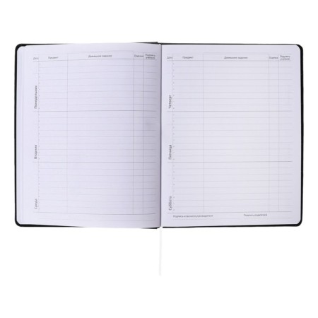 Universal diary for grade 1-11, solid cover, artificial leather, foil embossing, liesse, 80 g/m2-8