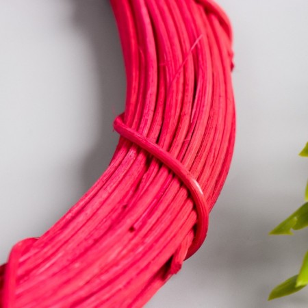 Ring Roadan for manufacturing the Fuchsia Dreams Catcan D = 25 cm-1