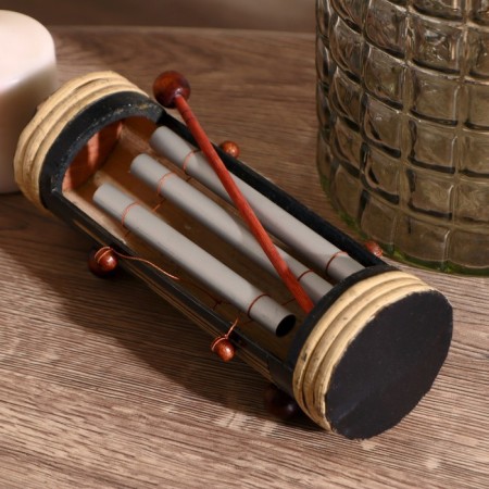 Musical instrument "Xylophone" with a wand 20x7x7 cm