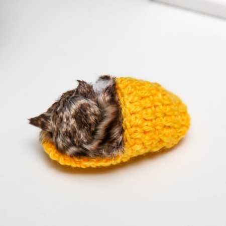 Fluffy cat in a slipper, mix-1