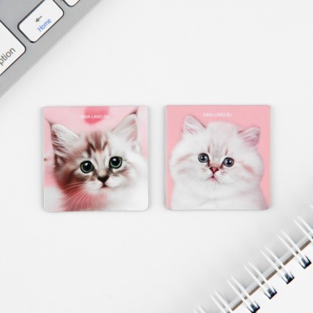 Set of notebook A6, 32 sheets, stickers, magnetic bookmarks "Cute kitten"-3
