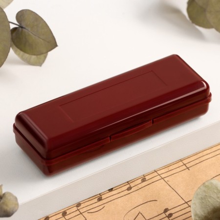Music Life T10 C Diatonic Harly, 10 holes, with a case-5