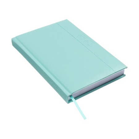 Dated 2025 diary, A5, 176 sheets of Escalada, a solid cover of artificial leather with foam rubber, pancake embossing, liesse, block 70 g/m2, green-1