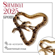New Year! Symbol of the year 2025! Brooch 
