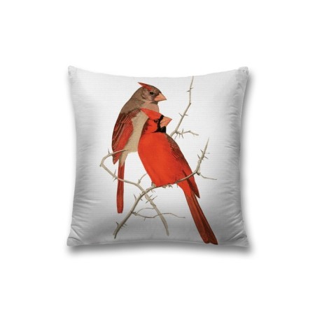Decorative pillowcase "Careful birds", on a zipper, size 45x45 cm