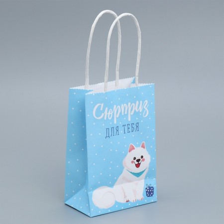 Gift Craft Package, Packaging, “Surprise for You”, 15 x 10 x 6 cm-2