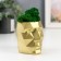 Kashpo concrete "head" with moss height 8.5 cm gold (moss green stabilized)