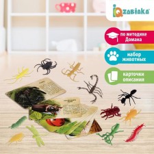 A set of animals with training cards “In the world of insects”, animal plastic, cards, according to the Montessori method