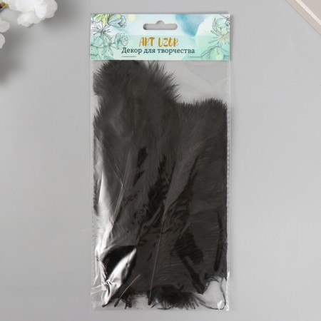 Decorative ostriches "Black Night" h = 15-20 cm-2