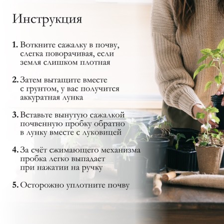 Onion plants with bulbous plants, length 24 cm, black-3