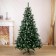 Fir tree "chic hoar" 180 cm d of the lower tier 115 cm 824 branches