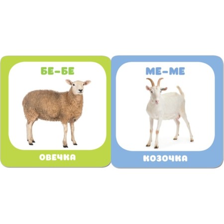 Kids. The course of early development 0+ "Pets". Denisova D.-1