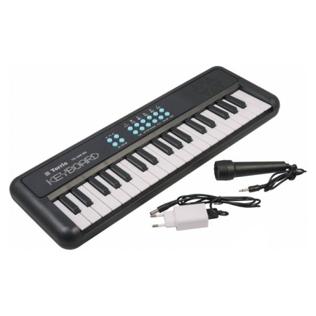 Terris TK-100 BK synthesizer