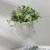 Kashpo Nastya "Lausanne", 3 l, white color