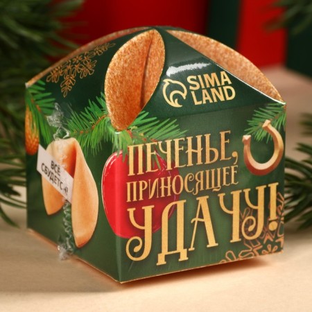 Cookies with the prediction "bringing luck" 1 pc x 6 g-6