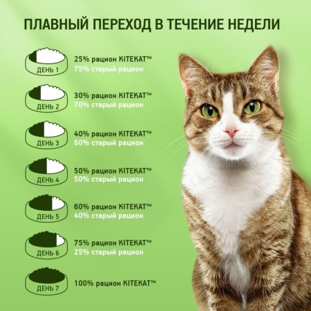 Wet Kitekat food for cats, lamb, 85 g-5